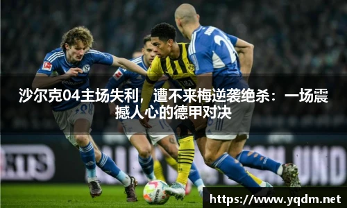 米兰体育官网