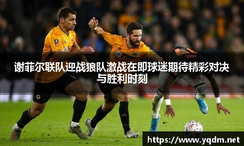 米兰体育官网