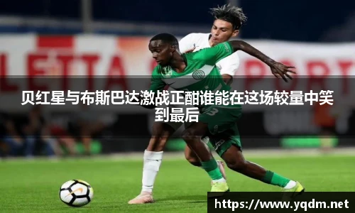 leyu.com.乐鱼官方